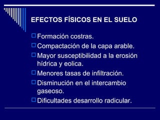 EFECTOS FÍSICOS EN EL SUELO 
Formación costras. 
Compactación de la capa arable. 
Mayor susceptibilidad a la erosión 
hídrica y eolica. 
Menores tasas de infiltración. 
Disminución en el intercambio 
gaseoso. 
Dificultades desarrollo radicular. 
 