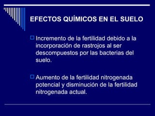 EFECTOS QUÍMICOS EN EL SUELO 
 Incremento de la fertilidad debido a la 
incorporación de rastrojos al ser 
descompuestos por las bacterias del 
suelo. 
 Aumento de la fertilidad nitrogenada 
potencial y disminución de la fertilidad 
nitrogenada actual. 
 