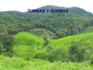 TUMBAS Y QUEMAS 
 