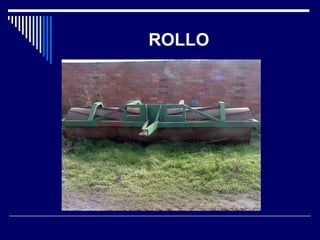 ROLLO 
 