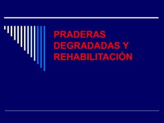 PRADERAS 
DEGRADADAS Y 
REHABILITACIÓN 
 