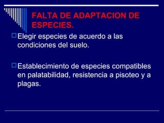 FALTA DE ADAPTACION DE 
ESPECIES. 
Elegir especies de acuerdo a las 
condiciones del suelo. 
Establecimiento de especies compatibles 
en palatabilidad, resistencia a pisoteo y a 
plagas. 
 