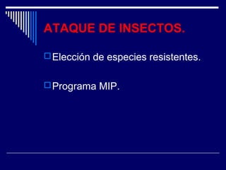 ATAQUE DE INSECTOS. 
Elección de especies resistentes. 
Programa MIP. 
 