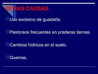 OTRAS CAUSAS. 
Uso excesivo de guadaña. 
Pastoreos frecuentes en praderas tiernas. 
Cambios hídricos en el suelo. 
Quemas. 
 