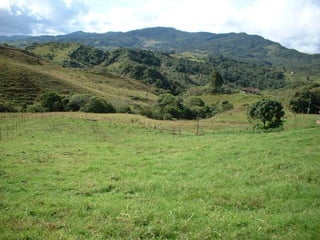 Preparacion_de_suelos_para_el_establecimiento_de