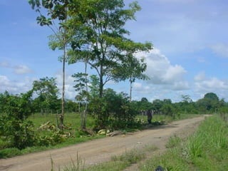 Preparacion_de_suelos_para_el_establecimiento_de