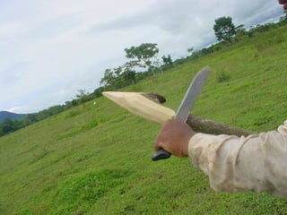 Preparacion_de_suelos_para_el_establecimiento_de