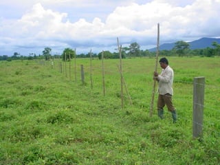 Preparacion_de_suelos_para_el_establecimiento_de