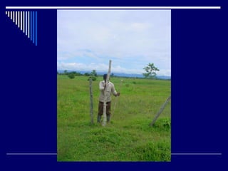 Preparacion_de_suelos_para_el_establecimiento_de