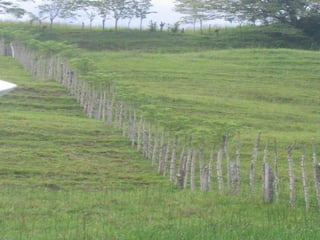 Preparacion_de_suelos_para_el_establecimiento_de