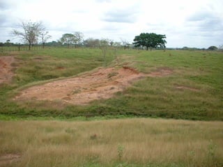 Preparacion_de_suelos_para_el_establecimiento_de