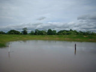 Preparacion_de_suelos_para_el_establecimiento_de