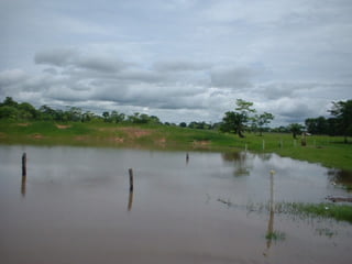 Preparacion_de_suelos_para_el_establecimiento_de