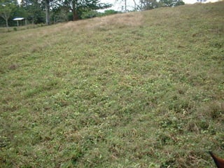 Preparacion_de_suelos_para_el_establecimiento_de