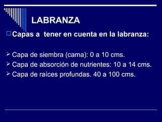 LABRANZA 
Capas a tener en cuenta en la labranza: 
 Capa de siembra (cama): 0 a 10 cms. 
 Capa de absorción de nutrientes: 10 a 14 cms. 
 Capa de raíces profundas. 40 a 100 cms. 
 
