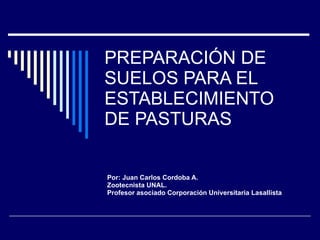 PREPARACIÓN DE SUELOS PARA EL ESTABLECIMIENTO DE PASTURAS Por: Juan Carlos Cordoba A. Zootecnista UNAL. Profesor asociado Corporación Universitaria Lasallista 