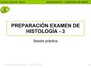 PREPARACIÓN EXAMEN DE HISTOLOGÍA - 3 Sesión práctica 