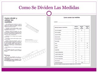 Como Se Dividen Las Medidas 