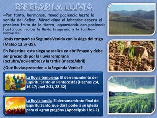 «Por tanto, hermanos, tened paciencia hasta la 
venida del Señor. Mirad cómo el labrador espera el 
precioso fruto de la tierra, aguardando con paciencia 
hasta que reciba la lluvia temprana y la tardía» 
(Santiago 5:7) 
Jesús comparó su Segunda Venida con la siega del trigo 
(Mateo 13:37-39). 
En Palestina, esta siega se realiza en abril/mayo y debe 
ser precedida por la lluvia temprana 
(octubre/noviembre) y la tardía (marzo/abril). 
¿Qué lluvias preceden a la Segunda Venida? 
La lluvia temprana: El derramamiento del 
Espíritu Santo en Pentecostés (Hechos 2:4, 
16-17; Joel 2:23, 28-32) 
La lluvia tardía: El derramamiento final del 
Espíritu Santo, que dará poder a su iglesia 
para el «gran pregón» (Apocalipsis 18:1-2) 
 