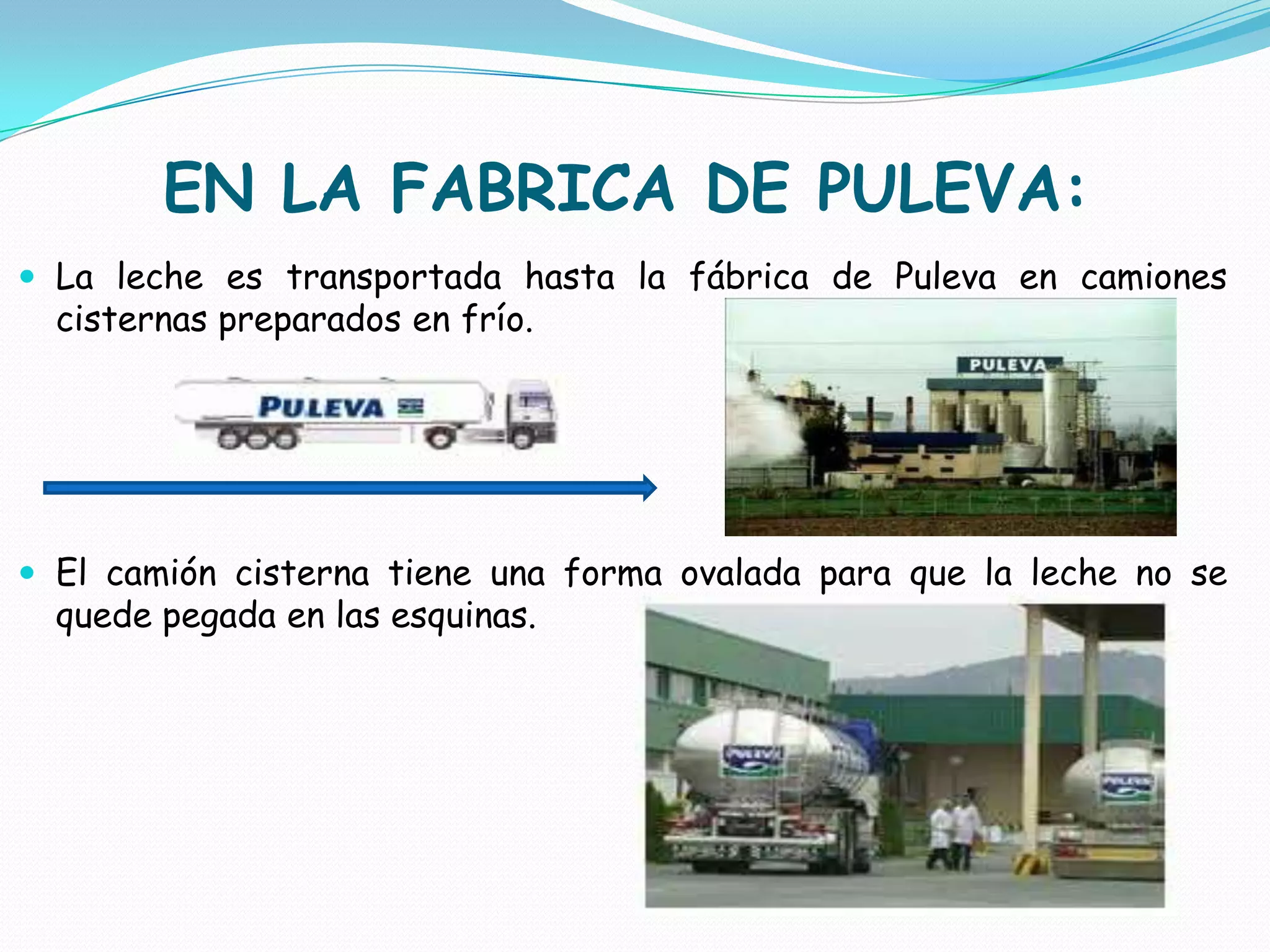 EN LA FABRICA DE PULEVA:
La leche es transportada hasta la fábrica de Puleva en camiones
cisternas preparados en frío.
El camión cisterna tiene una forma ovalada para que la leche no se
quede pegada en las esquinas.