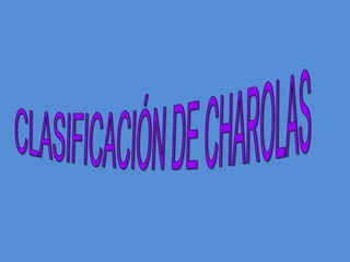 CLASIFICACIÓN DE CHAROLAS