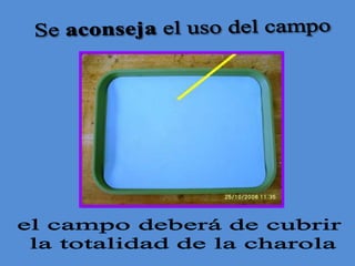 Se aconseja el uso del campo el campo deberá de cubrir la totalidad de la charola