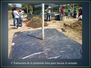  Estructura de la pirámide lista para iniciar el armado
 