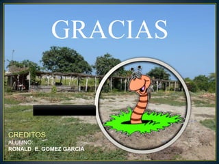 GRACIAS
CREDITOS
ALUMNO:
RONALD E. GOMEZ GARCIA
 