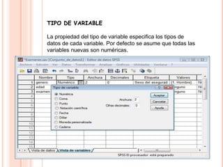 TIPO DE VARIABLE 
La propiedad del tipo de variable especifica los tipos de 
datos de cada variable. Por defecto se asume que todas las 
variables nuevas son numéricas. 
 