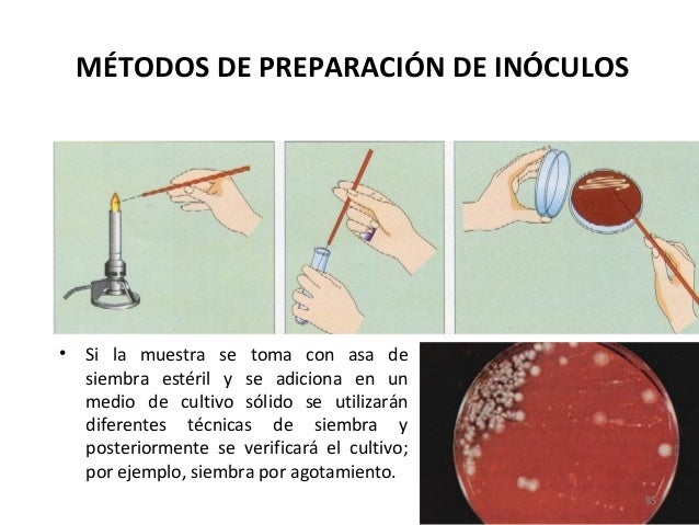 Preparacion de medios de cultivo