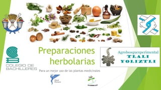 Preparaciones
herbolarias
Para un mejor uso de las plantas medicinales
 