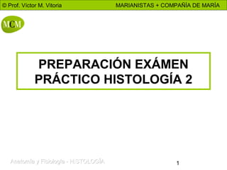 © Prof. Víctor M. Vitoria

MARIANISTAS + COMPAÑÍA DE MARÍA

PREPARACIÓN EXÁMEN
PRÁCTICO HISTOLOGÍA 2

Anatomía y Fisiología - HISTOLOGÍA

1

 