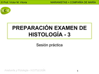 © Prof. Víctor M. Vitoria

MARIANISTAS + COMPAÑÍA DE MARÍA

PREPARACIÓN EXAMEN DE
HISTOLOGÍA - 3
Sesión práctica

Anatomía y Fisiología - HISTOLOGÍA

1

 