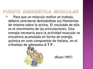        Para que un músculo realice un trabajo,
    deberá contraerse deslizándose sus filamentos
    de miosina sobre la actina. El resultado de ello
    es el movimiento de las articulaciones. Esta
    energía necesaria para la actividad muscular se
    encuentra acumulada en forma de energía
    química en unos compuestos de fosfato, en el
    trifosfato de adenosina A T P .


                                  (Boyer,1997)
 