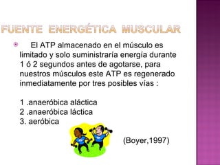       El ATP almacenado en el músculo es
    limitado y solo suministraría energía durante
    1 ó 2 segundos antes de agotarse, para
    nuestros músculos este ATP es regenerado
    inmediatamente por tres posibles vías :

    1 .anaeróbica aláctica
    2 .anaeróbica láctica
    3. aeróbica

                                 (Boyer,1997)
 