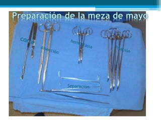 Preparacion  mesa de mayo y riñon.