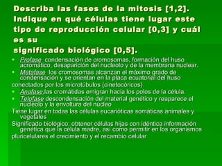 Describa las fases de la mitosis [1,2]. Indique en qué células tiene lugar este tipo de reproducción celular [0,3] y cuál es su significado biológico [0,5]. Profase   condensación de cromosomas, formación del huso acromático, desaparición del nucleolo y de la membrana nuclear. Metafase   los cromosomas alcanzan el máximo grado de condensación y se orientan en la placa ecuatorial del huso conectados por los microtúbulos (cinetocóricos) Anafase ,las cromátidas emigran hacia los polos de la célula.  Telofase  descondensación del material genético y reaparece el nucleolo y la envoltura del núcleo  Tiene lugar en todas las células eucarióticas somáticas animales y vegetales  Significado biológico: obtener células hijas con idéntica información genética que la célula madre, así como permitir en los organismos pluricelulares el crecimiento y el recambio celular 