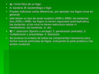 a).-  Ciclo lítico de un fago . A: bacteria; B: bacteriófago o fago Pueden indicarse varias diferencias, por ejemplo: los fagos (virus en general) sólo tienen un tipo de ácido nucleico (ADN o ARN), las bacterias, dos (ADN y ARN); los fagos no tienen capacidad autorreplicativa, las bacterias, sí;los virus no tienen estructura celular ni metabolismo, las bacterias, sí, etc., B)  1: adsorción (fijación o anclaje); 2: penetración (entrada); 3: multiplicación y ensamblaje; 4: liberación Se produce la síntesis de todos los componentes necesarios para formar nuevas partículas de fagos, incluyendo la parte proteica y los ácidos nucleicos 