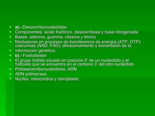 a).-  Desoxirribonucleótidos  Componentes: ácido fosfórico, desoxirribosa y base nitrogenada  Bases: adenina, guanina, citosina y timina  Mediadores en procesos de transferencia de energía (ATP, GTP); coenzimas (NAD, FAD); almacenamiento y transmisión de la información genética. b).-  Fosfodiéster  El grupo fosfato situado en posición 5’ de un nucleótido y el hidroxilo que se encuentra en el carbono 3’ del otro nucleótido  Polidesoxirribonucleótidos, ADN ADN polimerasa  Núcleo, mitocondria y cloroplasto 