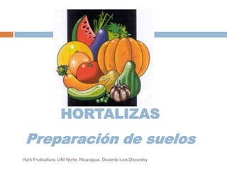 HORTALIZAS Preparación de suelos Horti Fruticultura. UNI Norte, Nicaragua. Docente Luis Dicovskiy 