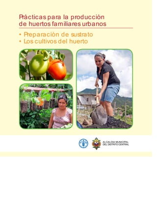 Pra´ cticas para la produccio´ n
de huertos familiares urbanos
• Preparacio´ n de sustrato
• Los cultivos del huerto
ALCALDIA MUNICIPAL
DEL DISTRITO CENTRAL
 