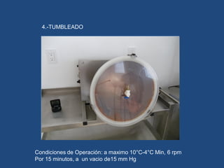 4.-TUMBLEADO
Condiciones de Operación: a maximo 10°C-4°C Min, 6 rpm
Por 15 minutos, a un vacio de15 mm Hg
 