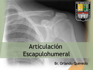 Articulación
Escapulohumeral
Br. Orlando Quevedo

 