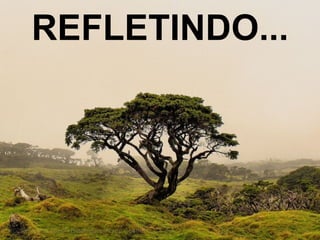 REFLETINDO... 
