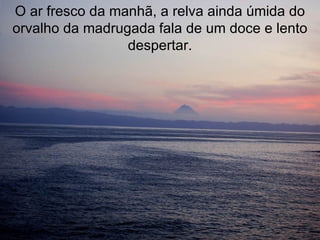 O ar fresco da manhã, a relva ainda úmida do orvalho da madrugada fala de um doce e lento despertar. 
