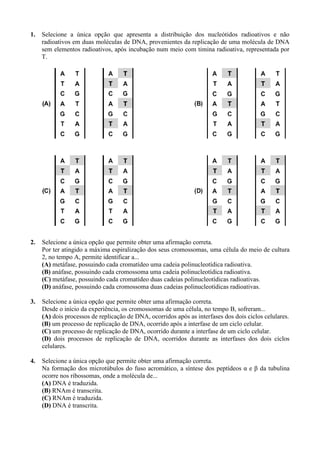 1.   Selecione a única opção que apresenta a distribuição dos nucleótidos radioativos e não
     radioativos em duas moléculas de DNA, provenientes da replicação de uma molécula de DNA
     sem elementos radioativos, após incubação num meio com timina radioativa, representada por
     T.




2.   Selecione a única opção que permite obter uma afirmação correta.
     Por ter atingido a máxima espiralização dos seus cromossomas, uma célula do meio de cultura
     2, no tempo A, permite identificar a...
     (A) metáfase, possuindo cada cromatídeo uma cadeia polinucleotídica radioativa.
     (B) anáfase, possuindo cada cromossoma uma cadeia polinucleotídica radioativa.
     (C) metáfase, possuindo cada cromatídeo duas cadeias polinucleotídicas radioativas.
     (D) anáfase, possuindo cada cromossoma duas cadeias polinucleotídicas radioativas.

3.   Selecione a única opção que permite obter uma afirmação correta.
     Desde o início da experiência, os cromossomas de uma célula, no tempo B, sofreram...
     (A) dois processos de replicação de DNA, ocorridos após as interfases dos dois ciclos celulares.
     (B) um processo de replicação de DNA, ocorrido após a interfase de um ciclo celular.
     (C) um processo de replicação de DNA, ocorrido durante a interfase de um ciclo celular.
     (D) dois processos de replicação de DNA, ocorridos durante as interfases dos dois ciclos
     celulares.

4.   Selecione a única opção que permite obter uma afirmação correta.
     Na formação dos microtúbulos do fuso acromático, a síntese dos peptídeos α e β da tubulina
     ocorre nos ribossomas, onde a molécula de...
     (A) DNA é traduzida.
     (B) RNAm é transcrita.
     (C) RNAm é traduzida.
     (D) DNA é transcrita.
 