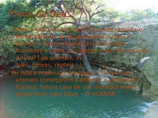 Como a terra estava vazia criou em seguida o
 Reino Mineral, as águas (mares e rios) e
 Depois o Reino Vegetal (ervas, árvores
 frutíferas e todas as plantas) e por fim o reino
 Animal ( os animais, as
 aves, peixes, repteis...)
Os rios e mares, as árvores, as flores e os
 animais começaram a enfeitar e perfumar o
 Paraíso, futura casa de um morador muito
 importante para Deus – O HOMEM!
 