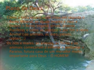Como a terra estava vazia criou em seguida o
Reino Mineral, as águas (mares e rios) e
Depois o Reino Vegetal (ervas, árvores
frutíferas e todas as plantas) e por fim o reino
Animal ( os animais, as aves, peixes,
repteis...)
Os rios e mares, as árvores, as flores e os
animais começaram a enfeitar e perfumar o
Paraíso, futura casa de um morador muito
importante para Deus – O HOMEM!
 