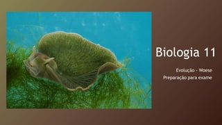Biologia 11
Evolução - Woese
Preparação para exame
 