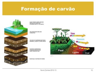 Formação de carvão
Nuno Correia 2012-13 12
 